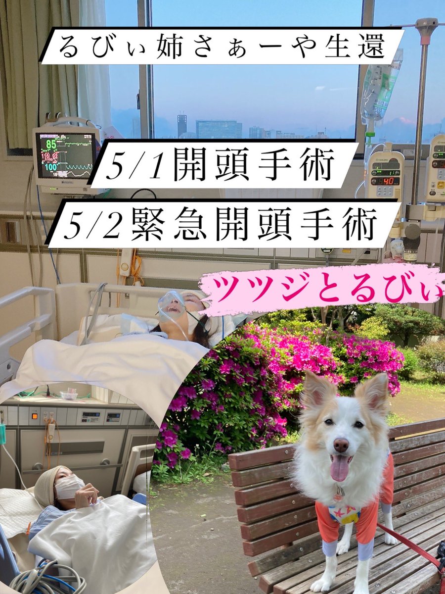 ruby_20210408's tweet photo. こんにちは、るびぃ🐶の姉のさぁーやです🙋🏻‍♀️

5/1にまた開頭手術
順調と思いきや…

5/2緊急開頭手術‼️
今もHCUで寝たきり生活
⁡
次は頚椎〜腹腔シャントの撤去手術💦
まだ入院に終わりは見えません🍀
⁡
ベッド生活長くて今は歩けません
るびぃとお散歩するためにがんはってリハビリしなきゃ🐕💗 https://t.co/URrJC4nVtH