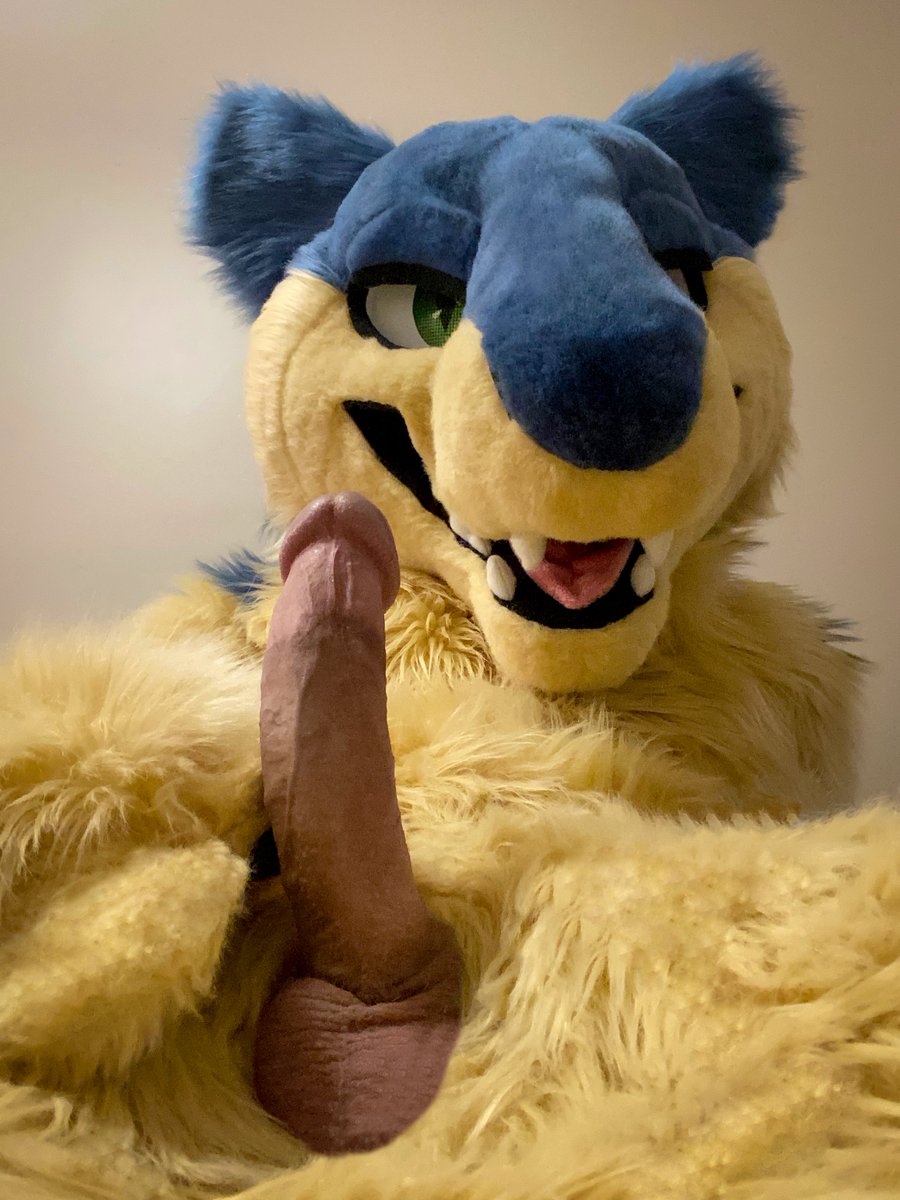 Muddy AD 🔞 🔜 Fur-Eh, Calfurry tweet media