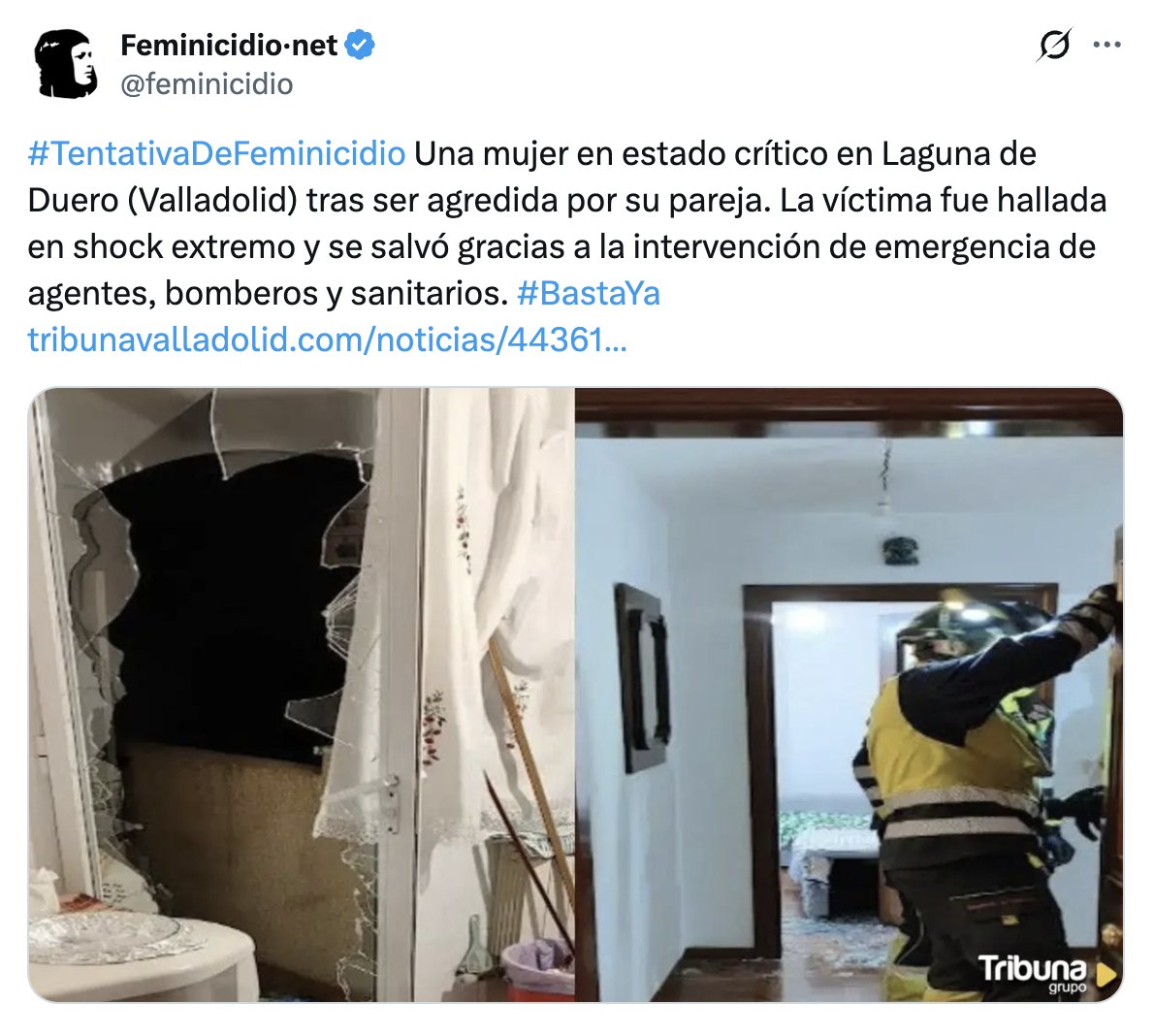 Feminicidio·net tweet media