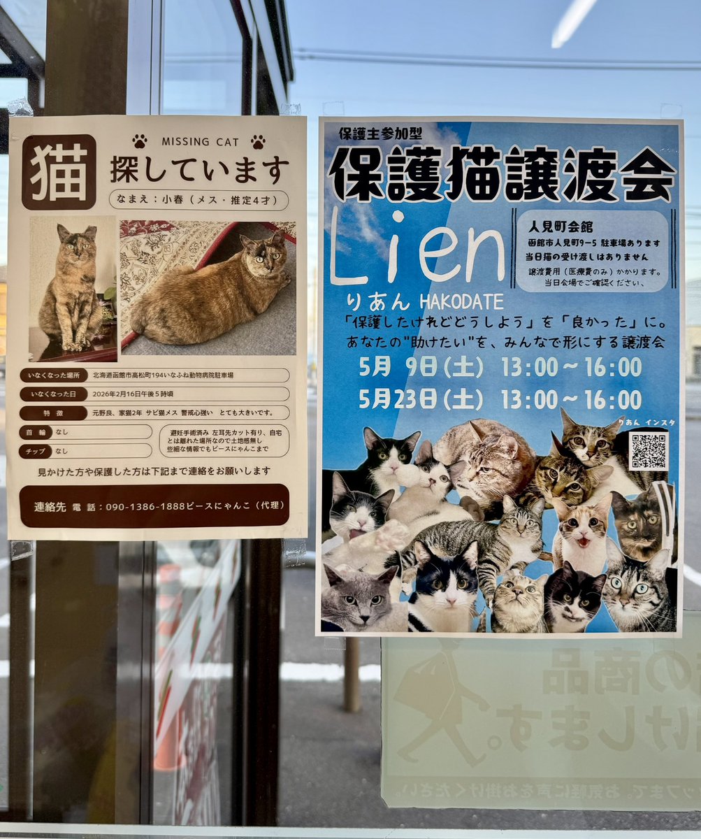 yoshitomo nara / 奈良美智 tweet media
