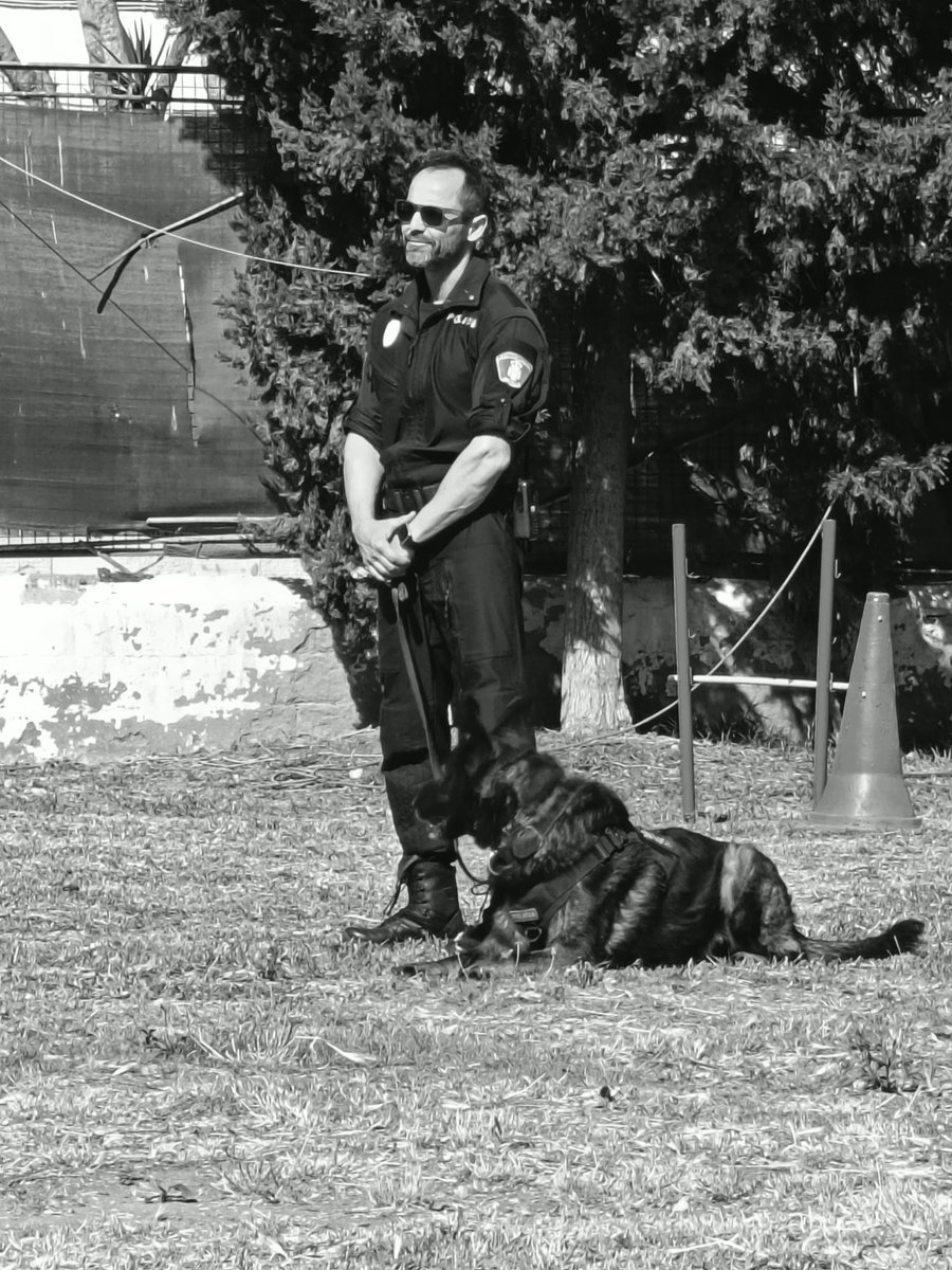 PlenaMelilla's tweet photo. 🍀🐕‍🦺👮Hoy asistimos a una actividad del GRUCAN de la Policía Local de Melilla @policia_localML.
Un equipo clave en seguridad y prevención, con gran preparación y coordinación
💚 Gracias a la Policía Local por acercarnos a su trabajo y por el compromiso siempre con @PlenaMelilla https://t.co/EXI5v2634B
