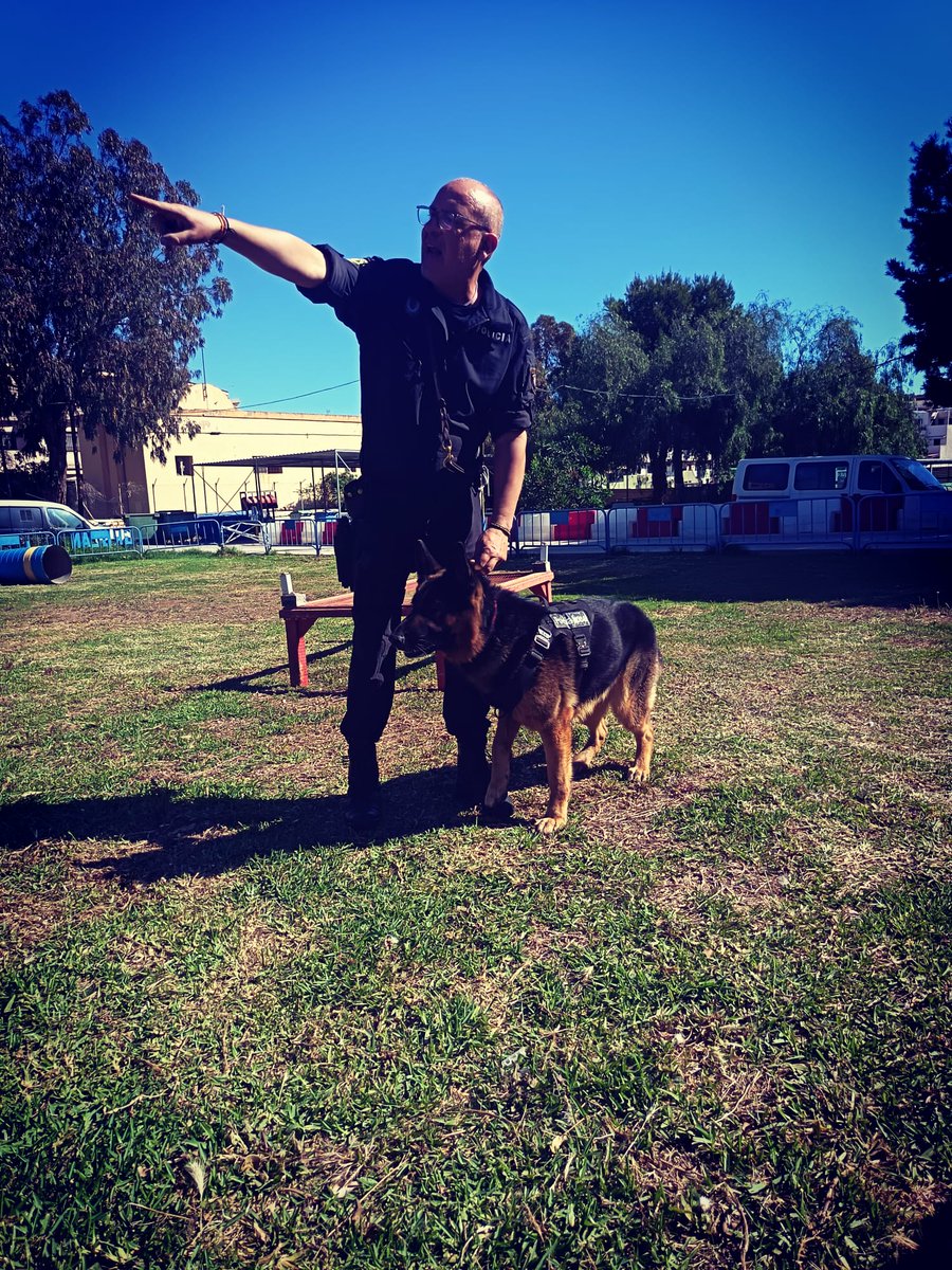 PlenaMelilla's tweet photo. 🍀🐕‍🦺👮Hoy asistimos a una actividad del GRUCAN de la Policía Local de Melilla @policia_localML.
Un equipo clave en seguridad y prevención, con gran preparación y coordinación
💚 Gracias a la Policía Local por acercarnos a su trabajo y por el compromiso siempre con @PlenaMelilla https://t.co/EXI5v2634B