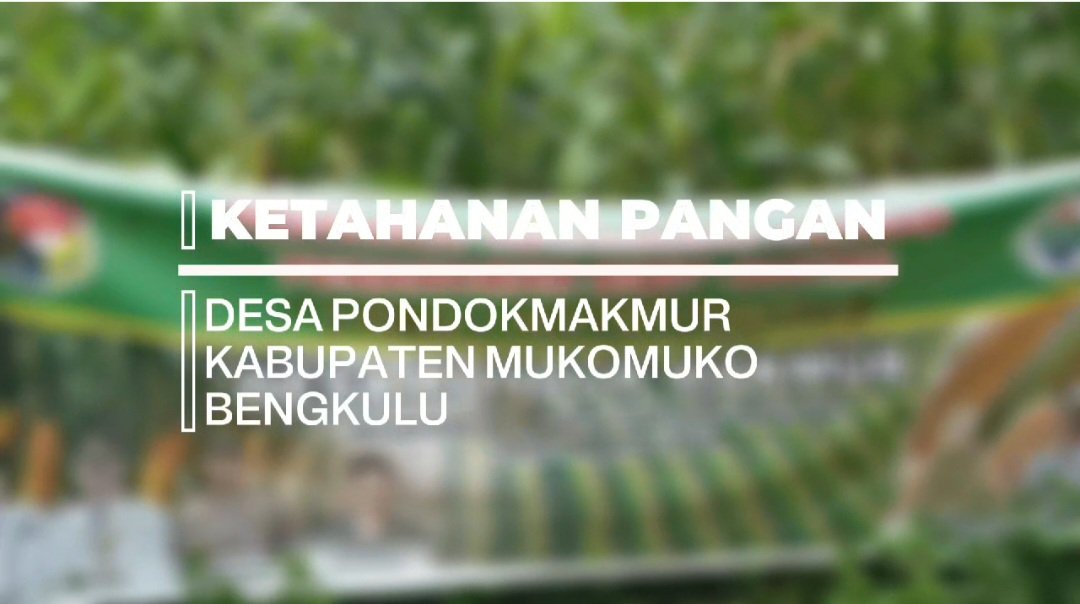 Desa Pondok Makmur, Kab. Mukomuko, Bengkulu membuat langkah nyata menjaga ketersediaan pangan &amp; memperkuat ekonomi desa.
_*Bersama Desa Mampu Bersama Pangan Terjaga*_
<a href="/YandriSusanto27/">Yandri Susanto</a>
<a href="/ArizaPatria/">Ariza Patria</a>
<a href="/KemensetnegRI/">Sekretariat Negara</a>
#KementerianDesaPDT
#BPSDMKementerianDesaPDT
#MenjagaKetahananPangan
