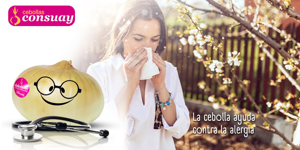 Cebollas Consuay tweet media
