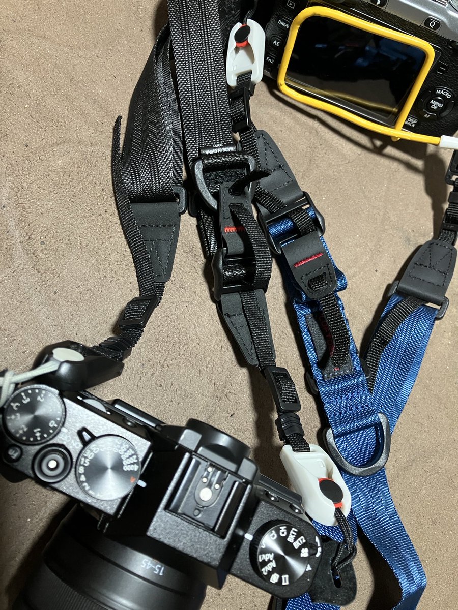 19種目のペンギン tweet media