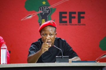 Jeff Ngobeni tweet media