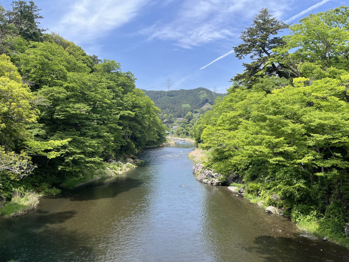のえこ西 tweet media