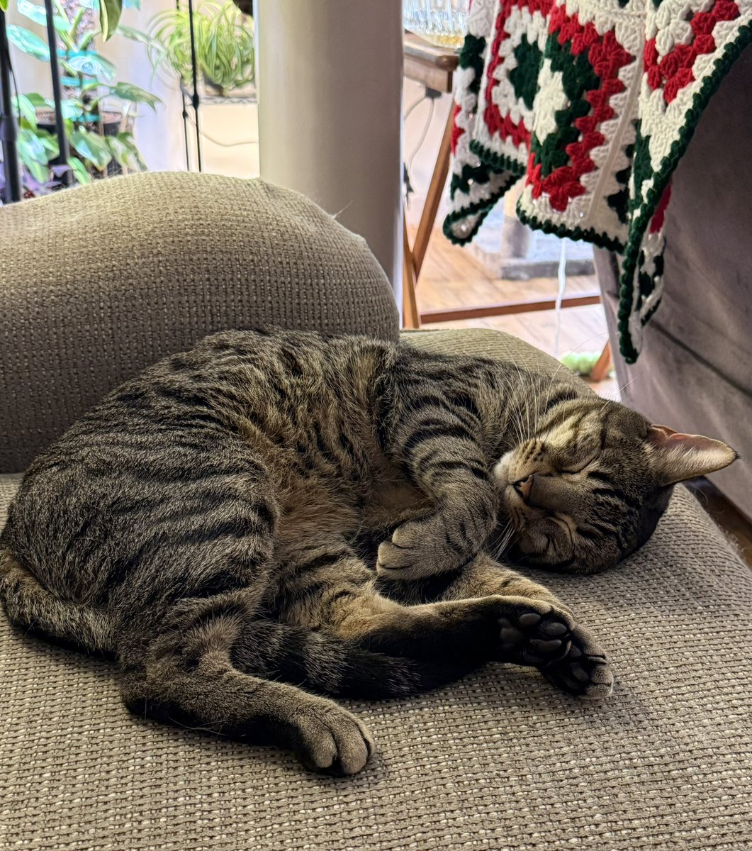 LProvard's tweet photo. I’m up #waytooearly with Horace, our new family member. Horace is a such a sweetie and fits into our family well. He is a little loud and quirky, but that’s why we love him all the more 🧡 https://t.co/pz4TIzfvva