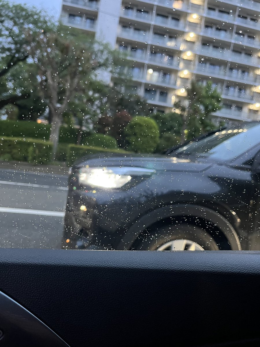 GW最終日も元気にカーシェアハイビーム🖕眩しいわクソ！！！