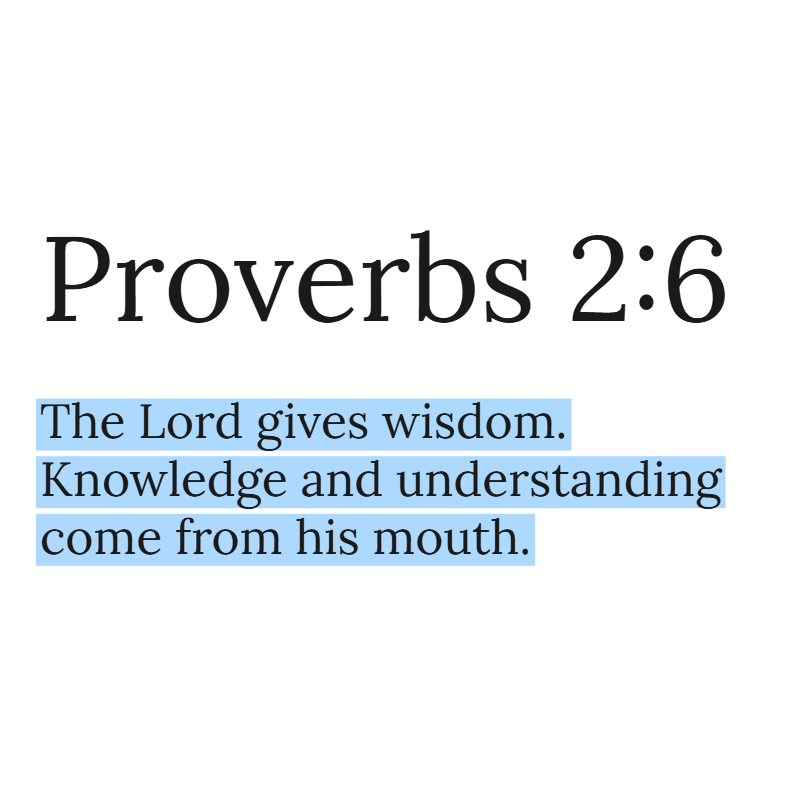 Holy Bible tweet media