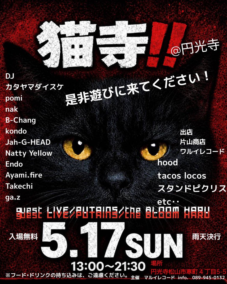 こんにちは！久しぶりのライヴが決まりました！
松山市銀天街の円光寺でのライヴイベントです！
入場無料。出演時刻など分かったらまたお知らせします！