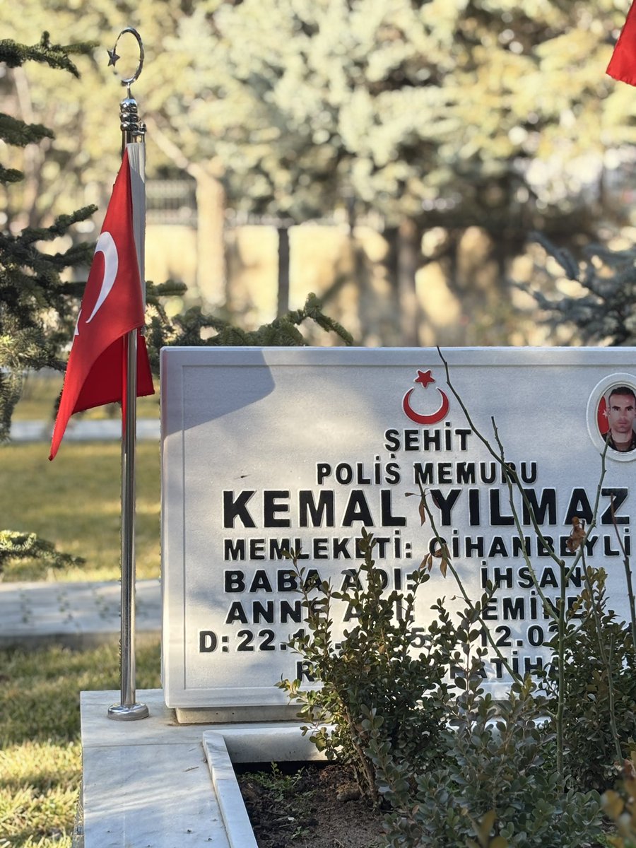 Çilek tweet media