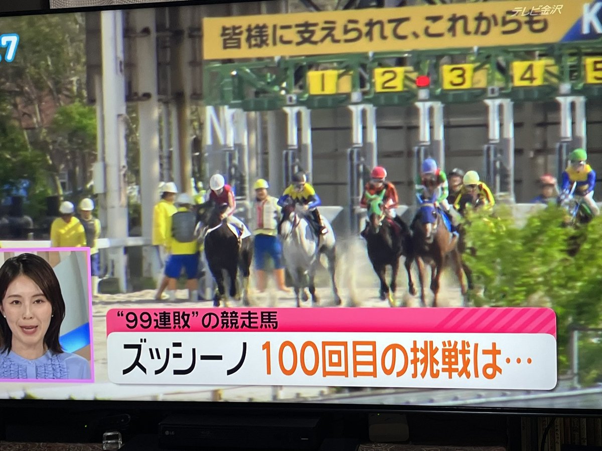 クー太郎 tweet media