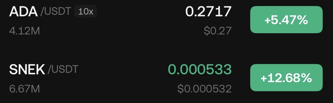 snekamoto's tweet photo. SNEK is leveraged ADA 🐍🔥🚀 https://t.co/nkh6qMK4BA