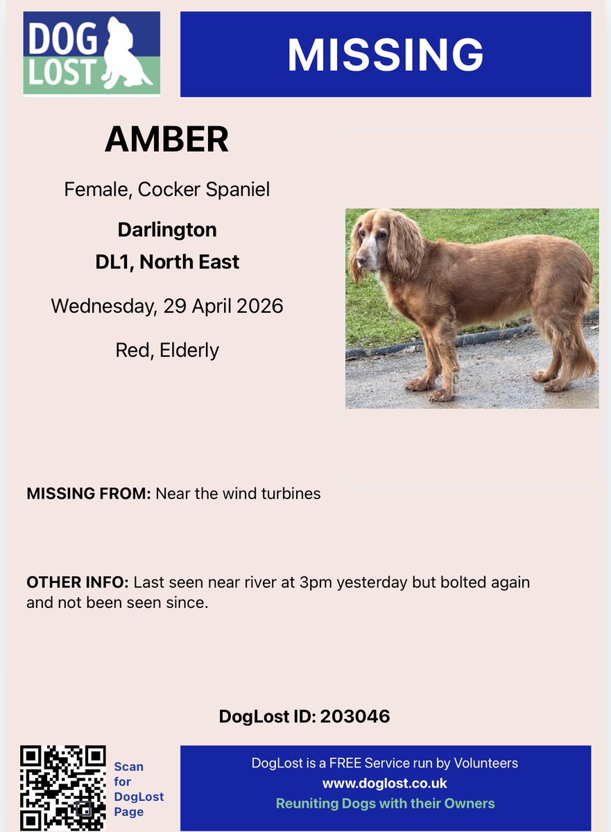 spaniel alert tweet media