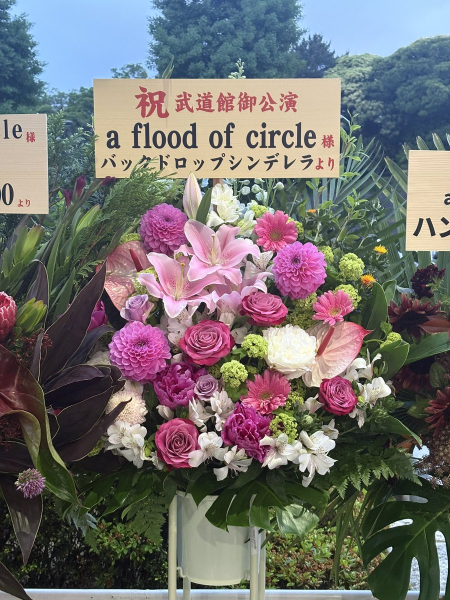 kamiike4's tweet photo. 開演前に見つけた9とバと、終演後に見つけたバ💐 https://t.co/Eh3x6Vo5sV
