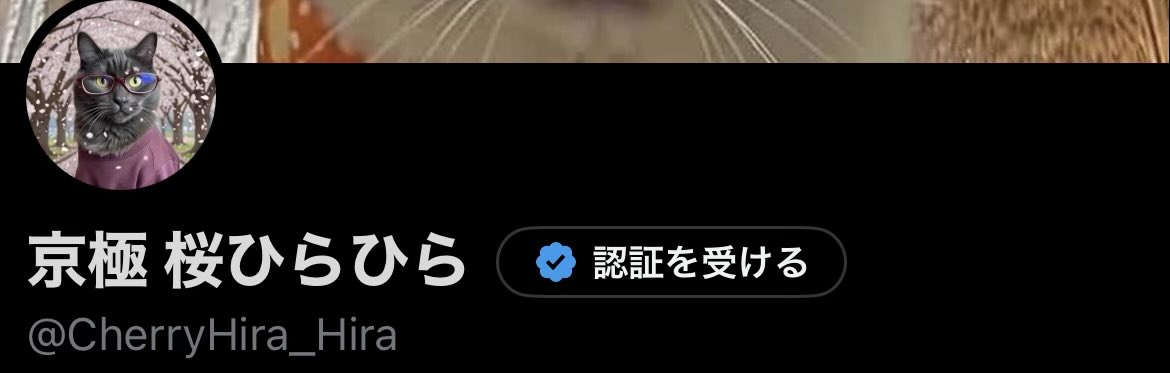 京極 桜ひらひら tweet media