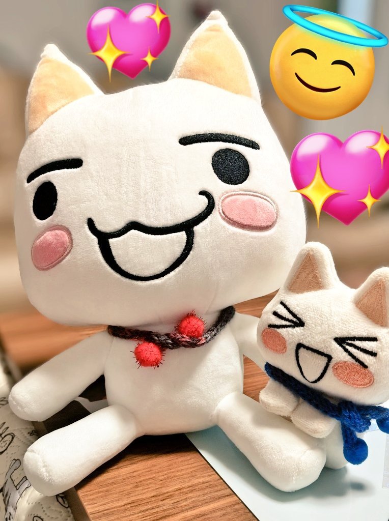 ハオルチアさんからいっぱいいただいたマフラー🧣さっそくつけてます！
アメリカトロもお土産をもらってニャ～っとしています🐱
