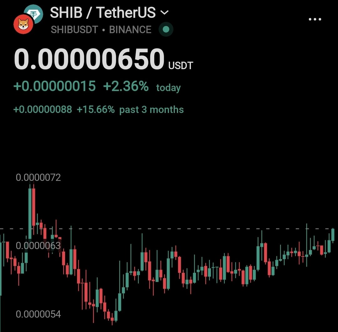 army_shiba tweet picture