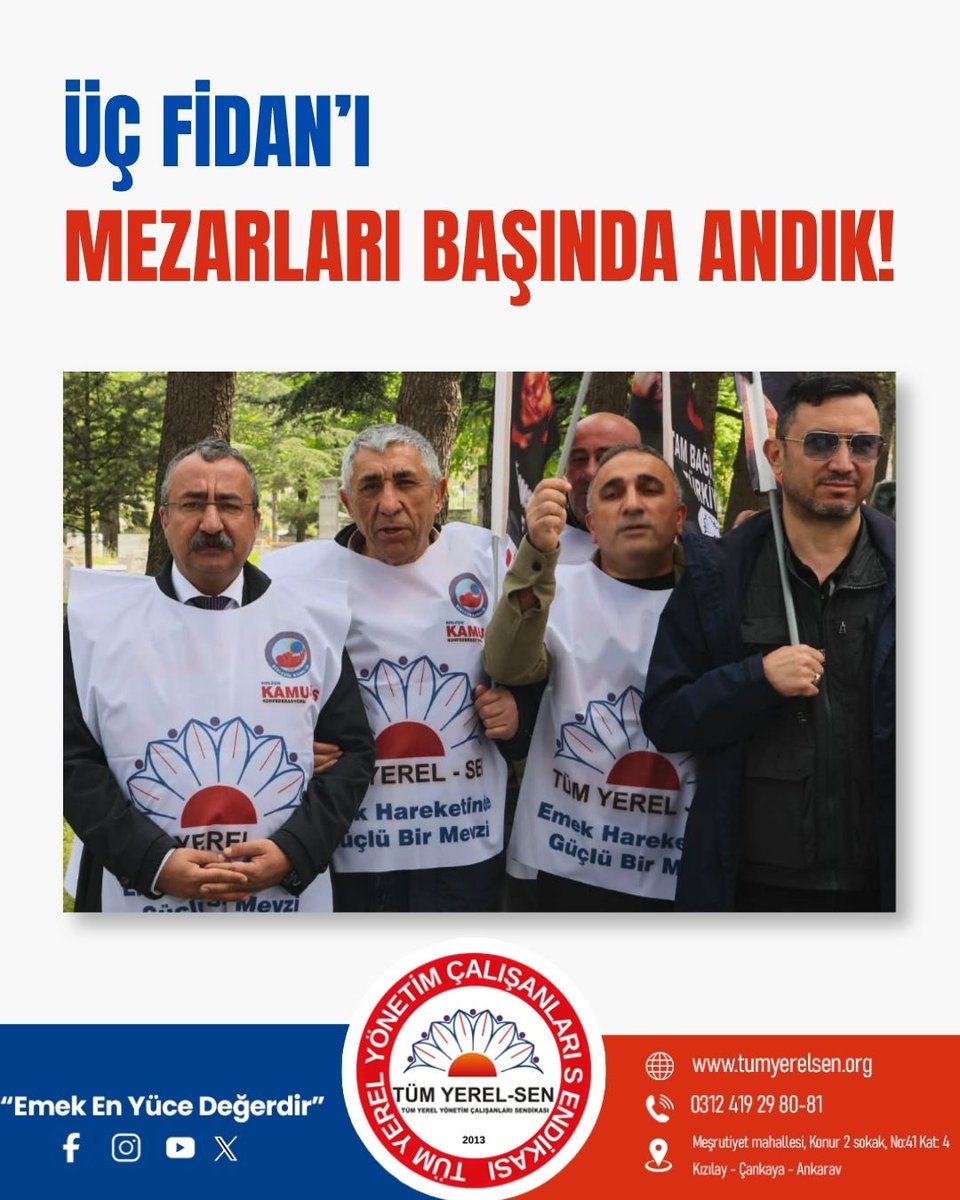 Tüm Yerel Sen tweet media