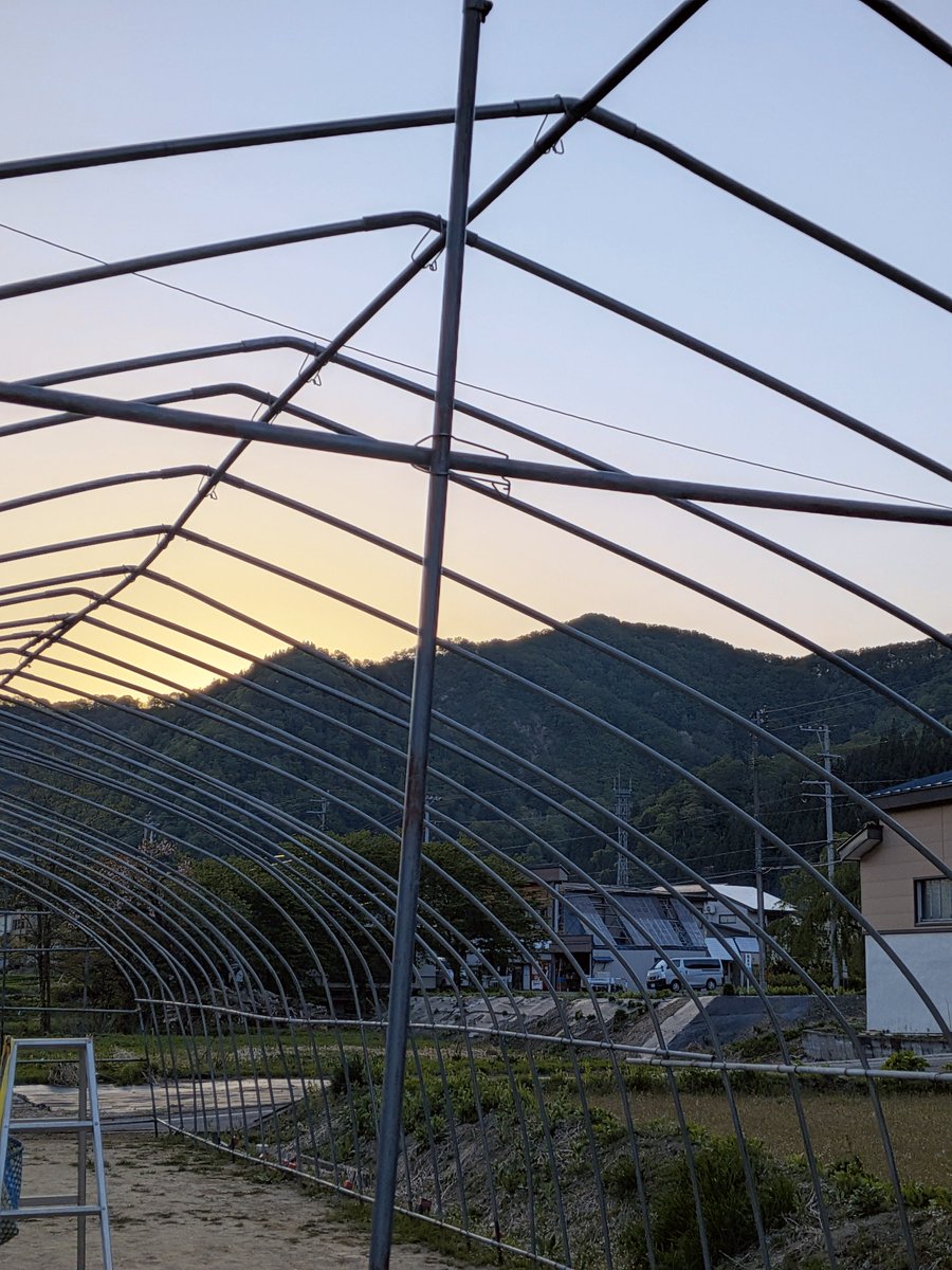 いてばれ tweet media