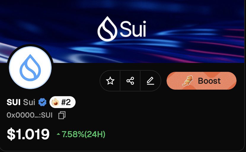 Sui Intern tweet media