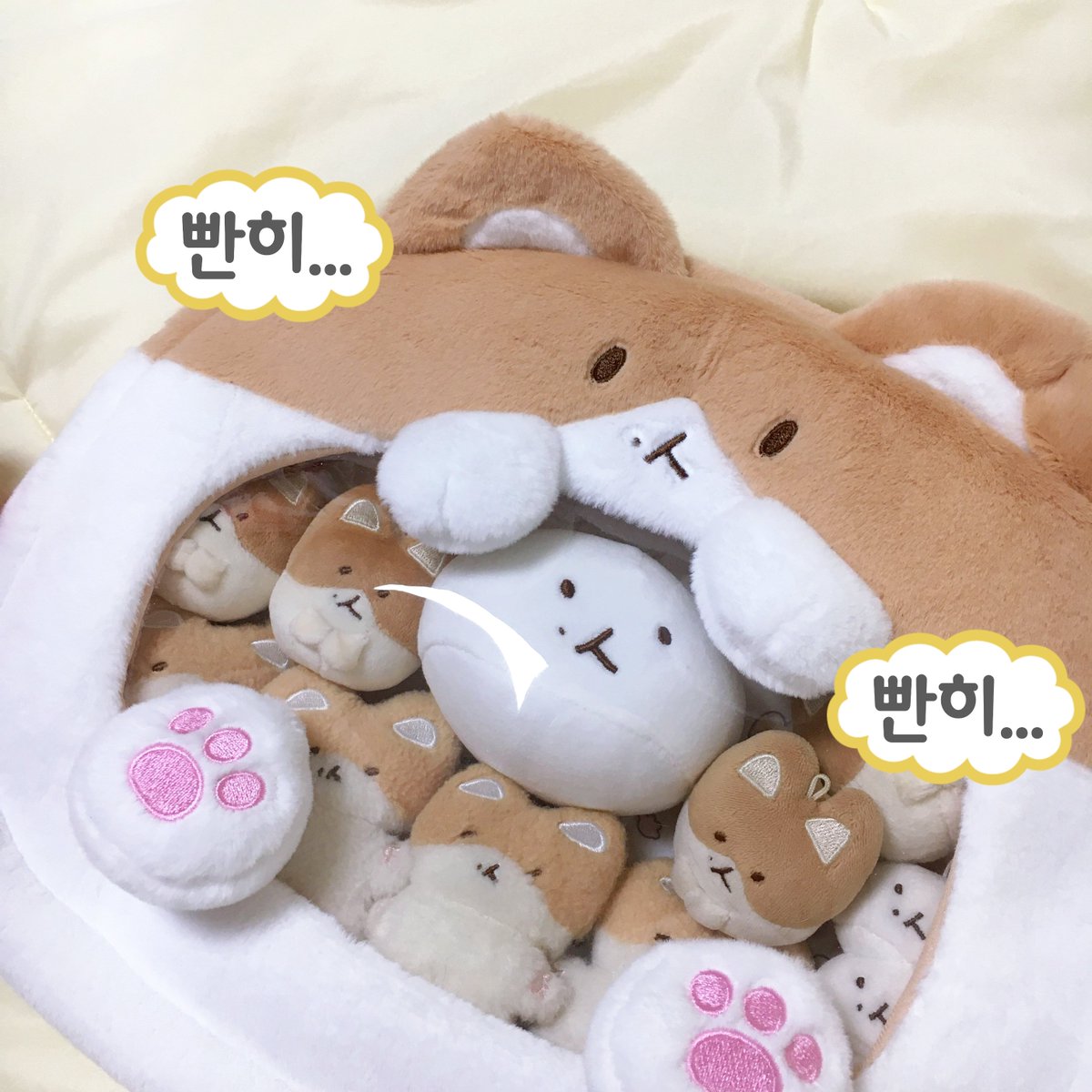 새벽✨ tweet media