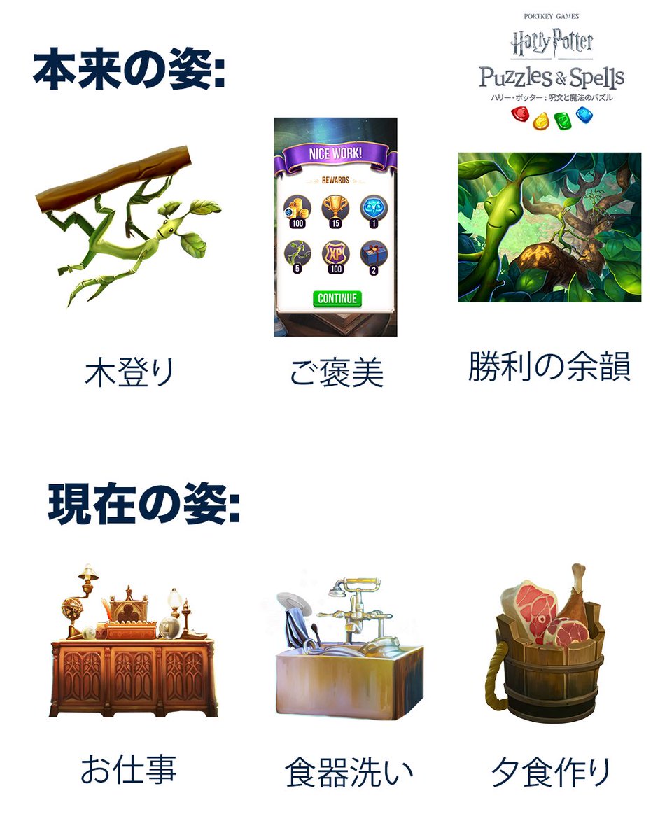 PuzzlesSpellsJP's tweet photo. 本来の姿👉木登り&amp;ごほうびゲット🌳🏆 

現在の姿👉皿洗い担当🧼

そんな日は『ハリポタ：呪文と魔法のパズル』で現実逃避🪄  https://t.co/OcoBlPkWOw 

#ハリーポッター #呪文と魔法のパズル #ハリポタ https://t.co/CCvtAUylBz