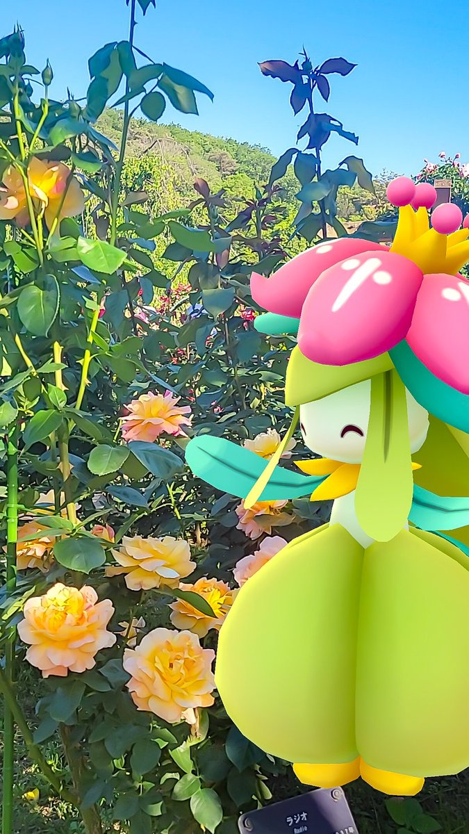 てこ🍙꜀( . ̫. ꜀՞)꜆@ポケGO tweet media