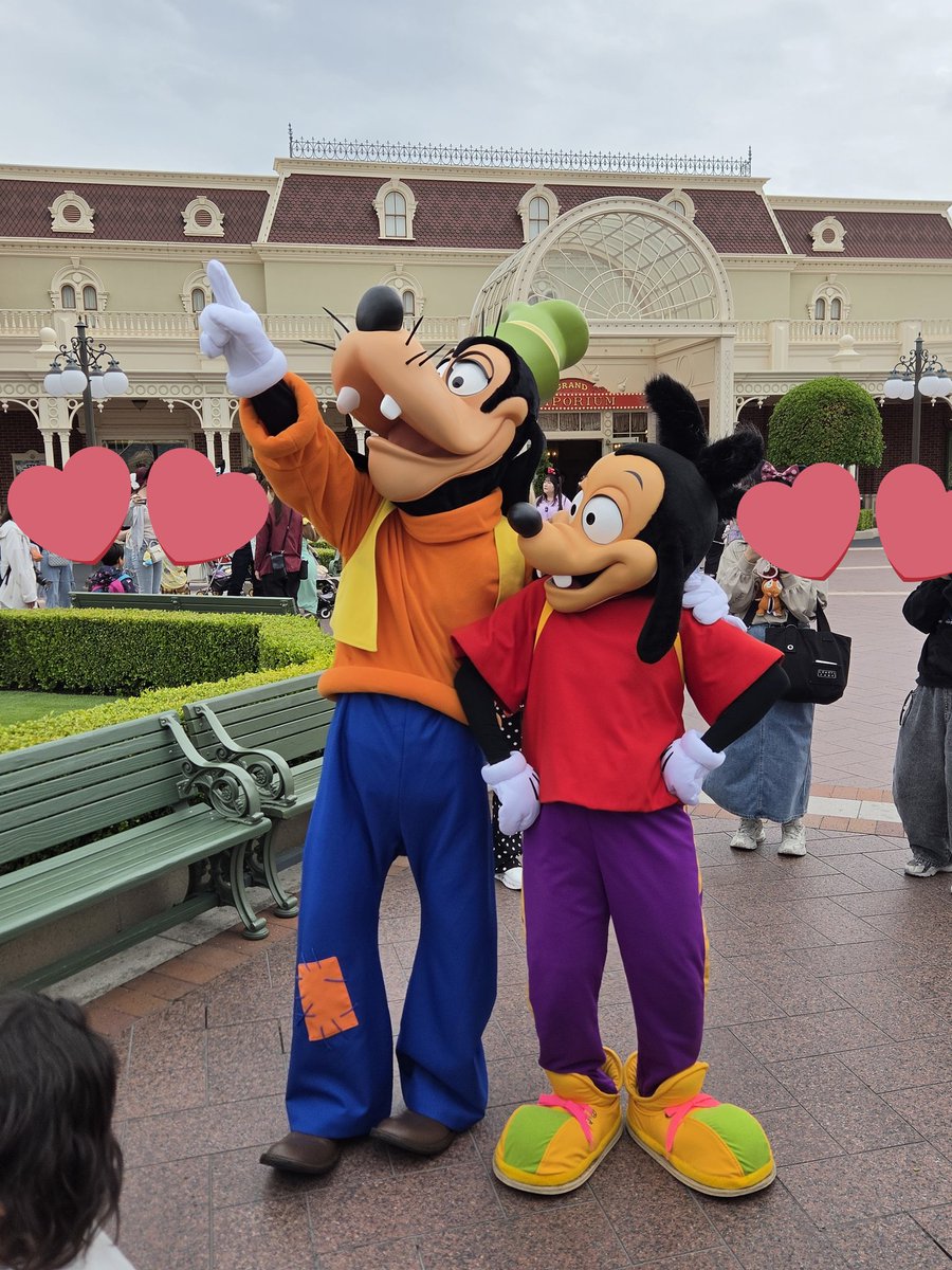 きつね犬 tweet media
