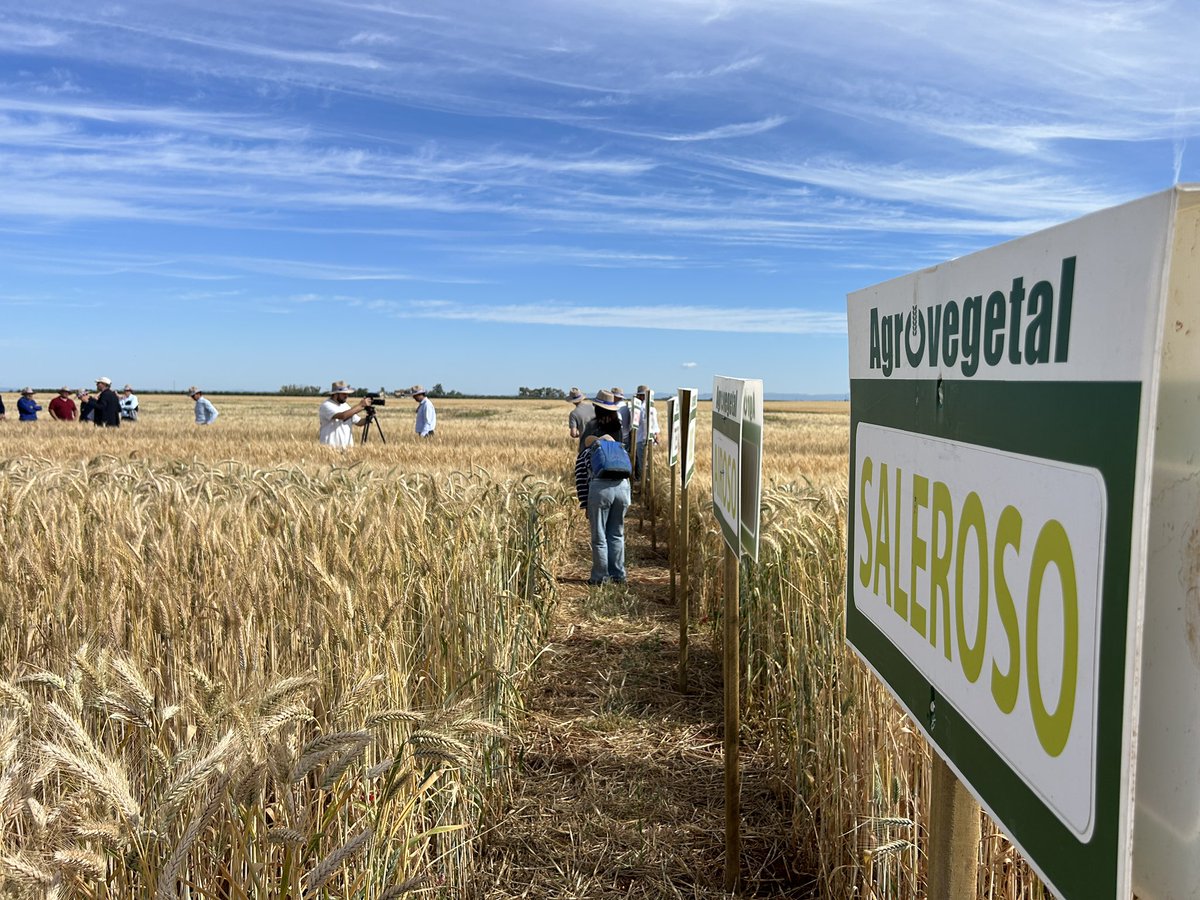 Cooperativas Agro-alimentarias de Andalucía tweet media