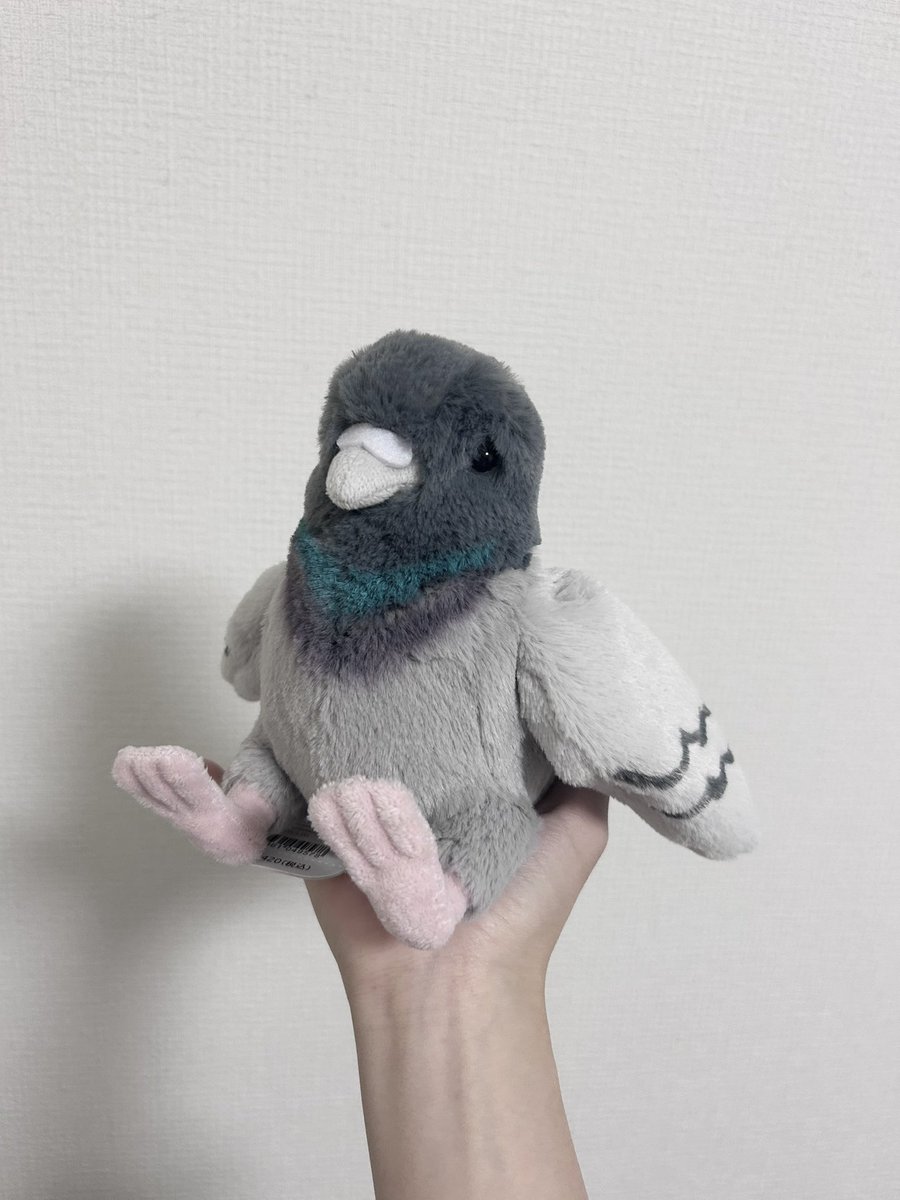 ついに鳩ぬいぐるみを購入…