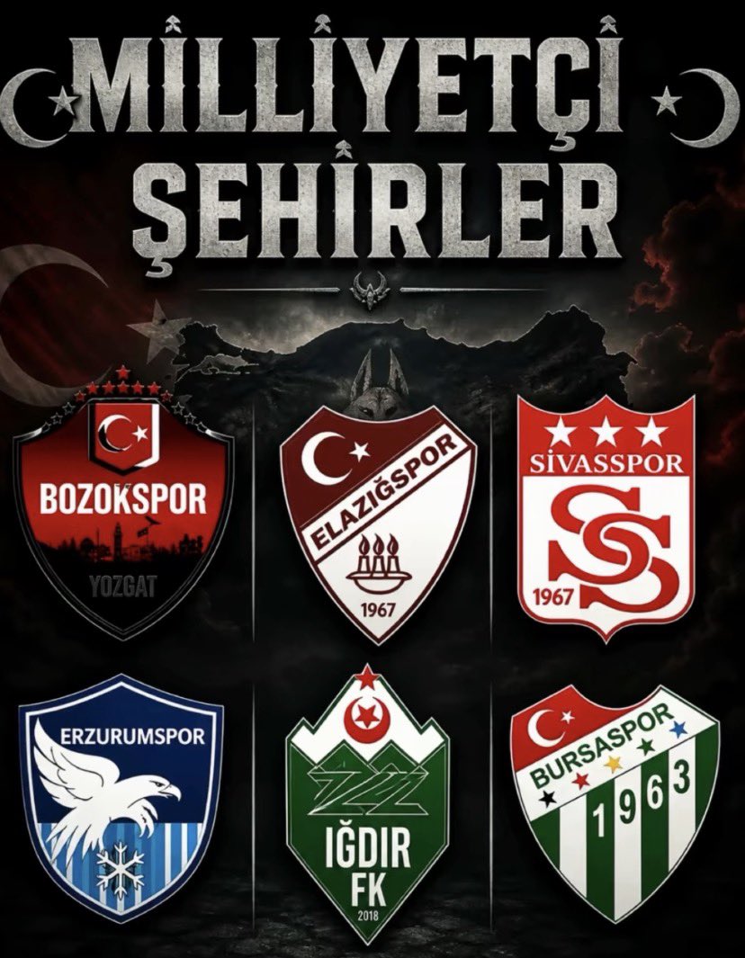BOZOKLULAR❤️🖤🇹🇷 tweet media