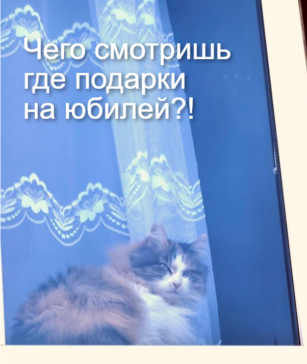 Кэт tweet media