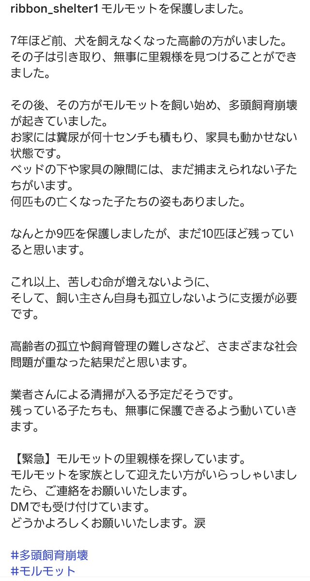 もるもる tweet media