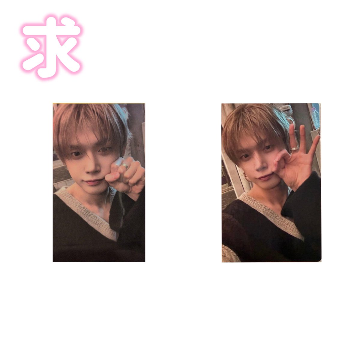 txt トゥバ 7TH YEAR: A Moment of Stillness in the Thorns トレカ