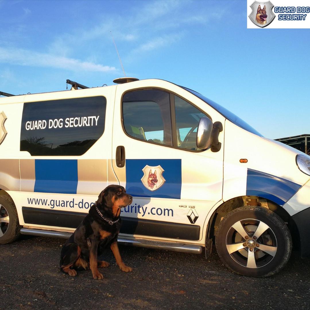 GuardDogSecurit's tweet photo. Warehouse break-ins are not random.

Criminals scout your site first.

Vans “mistakenly” arrive looking for another address.
️✅️ They check your security.
✅️ They see if you rely only on CCTV and alarms.
WA GDS 07877685922. (UK only)
https://t.co/DTKoRu4FHq https://t.co/7PhbwEeIGu