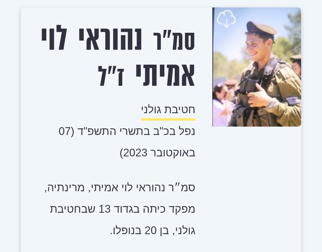 Amalia Ozer tweet media