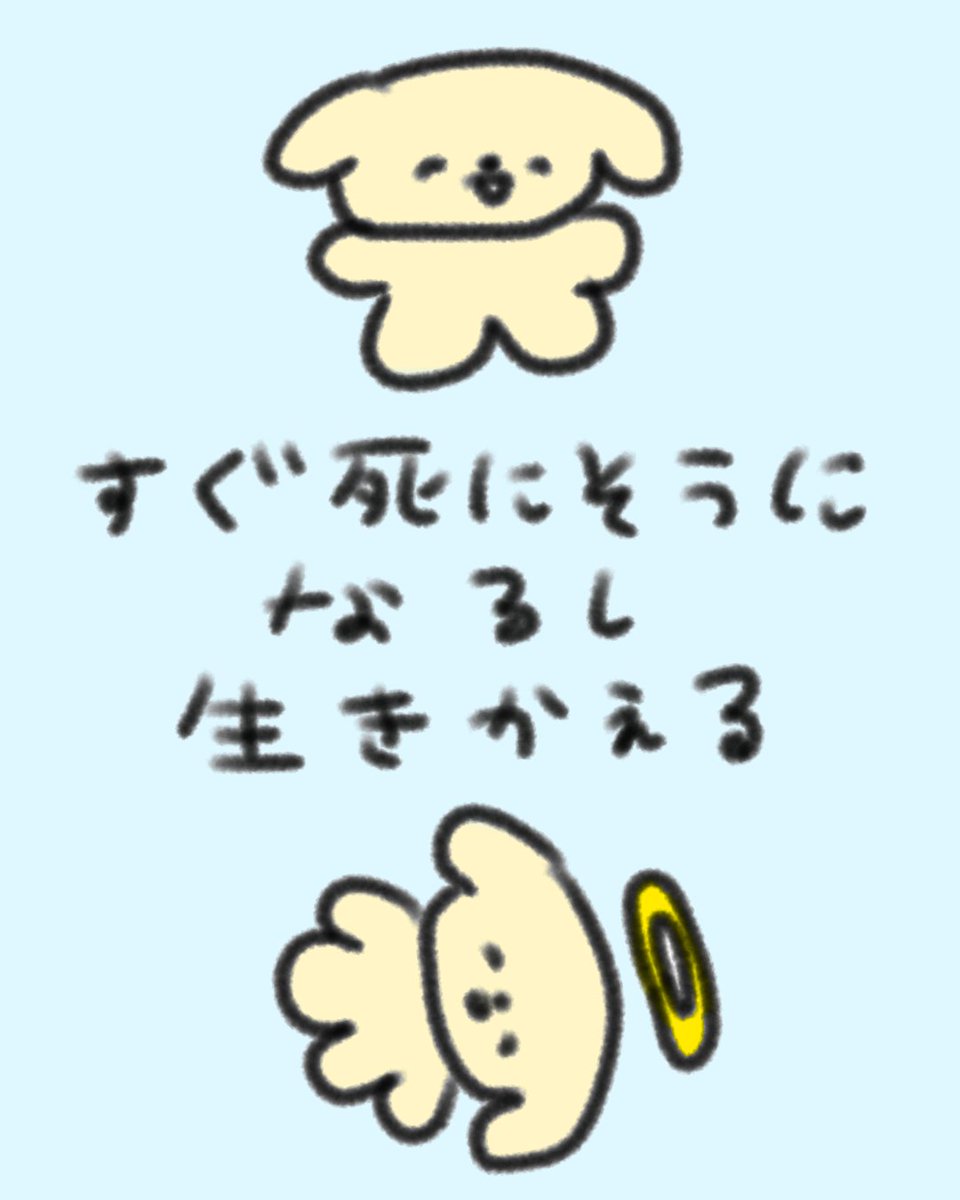 推しのいる生活って生死のターンオーバーが忙しい(幸せ)