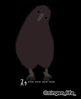 ningen_life tweet media