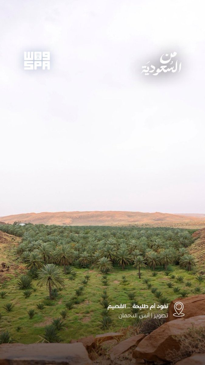 عدّاد بريدة tweet media
