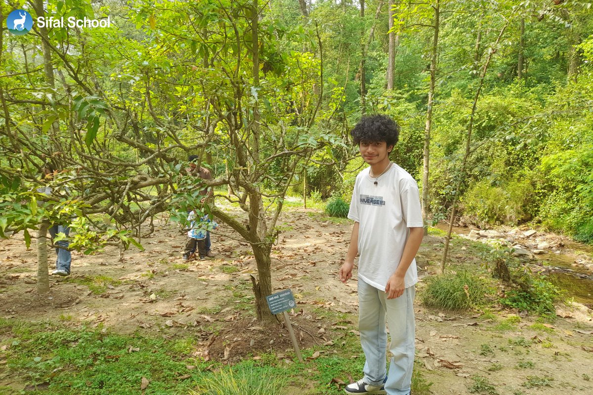 Deerwalk Sifal School tweet media