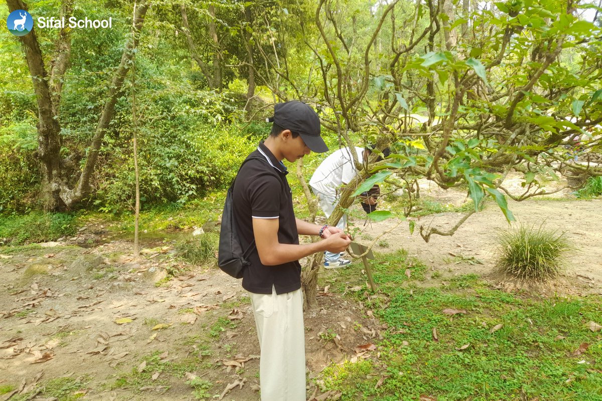 Deerwalk Sifal School tweet media