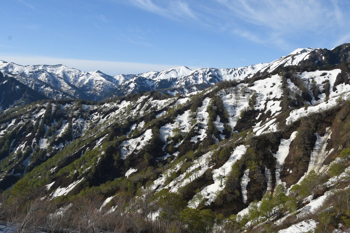 Hello__Rock's tweet photo. 越後駒ヶ岳

残雪の山岳は本当に美しい
時折遠い雪崩の轟音が響き、春の力強さを感じました https://t.co/9vw5po4EJu