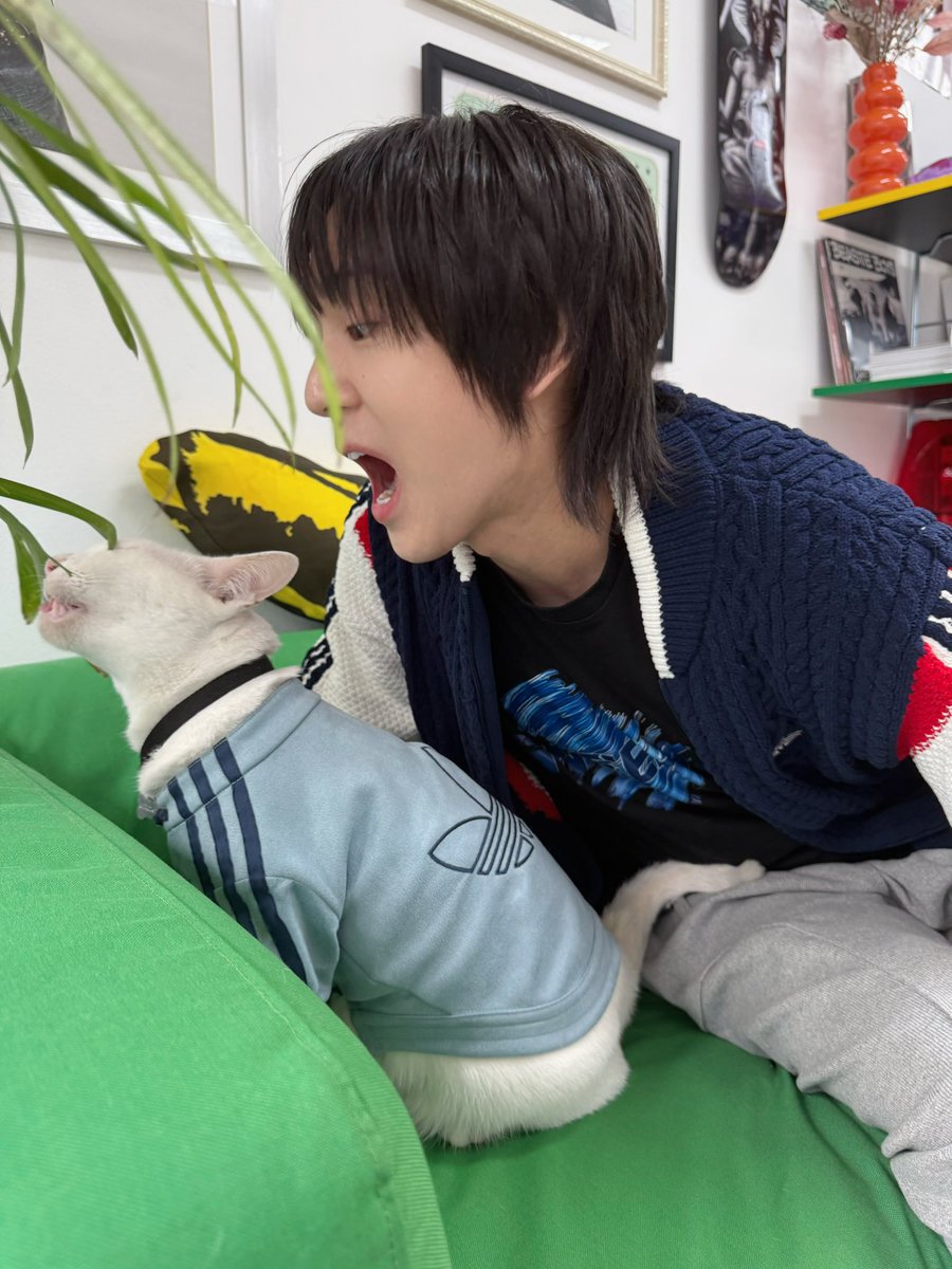 Mr.Ponpon นายภณ🐰 tweet media