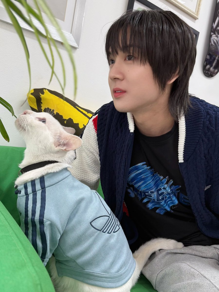 Mr.Ponpon นายภณ🐰 tweet media