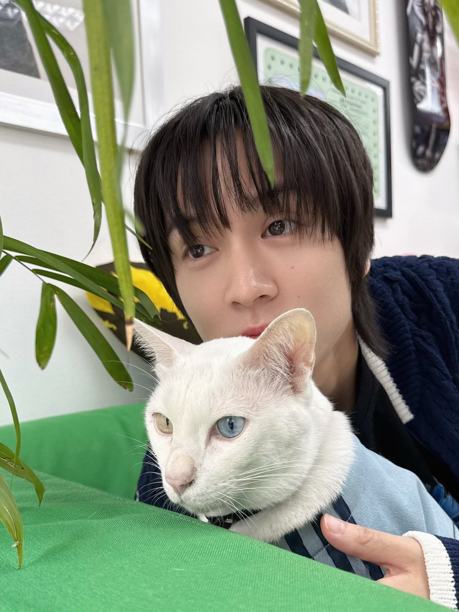 Mr.Ponpon นายภณ🐰 tweet media