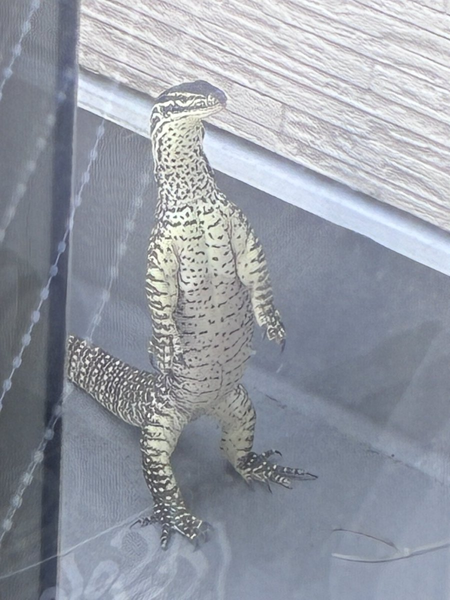 何してん