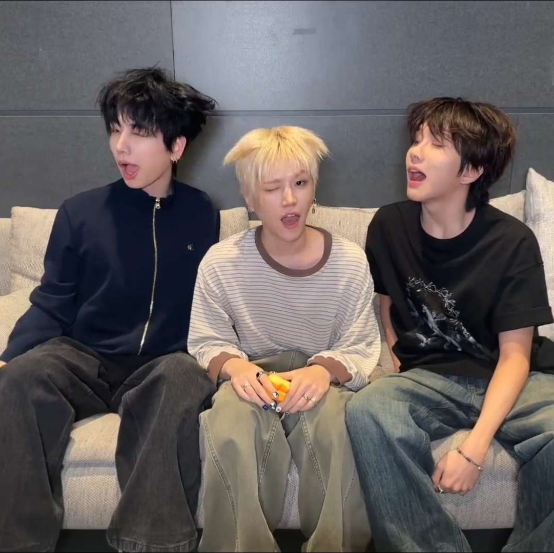 이 바보 강아지 세마리 뭐임ㅜㅜ 존귀