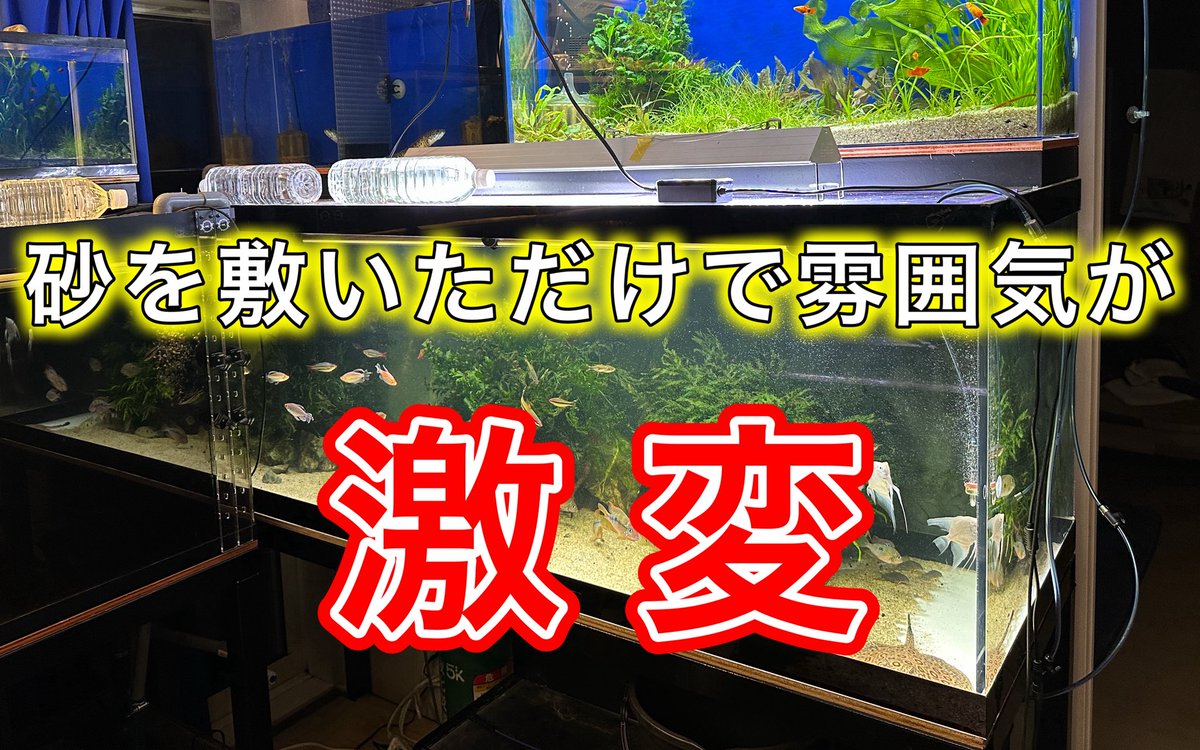 しー tweet media